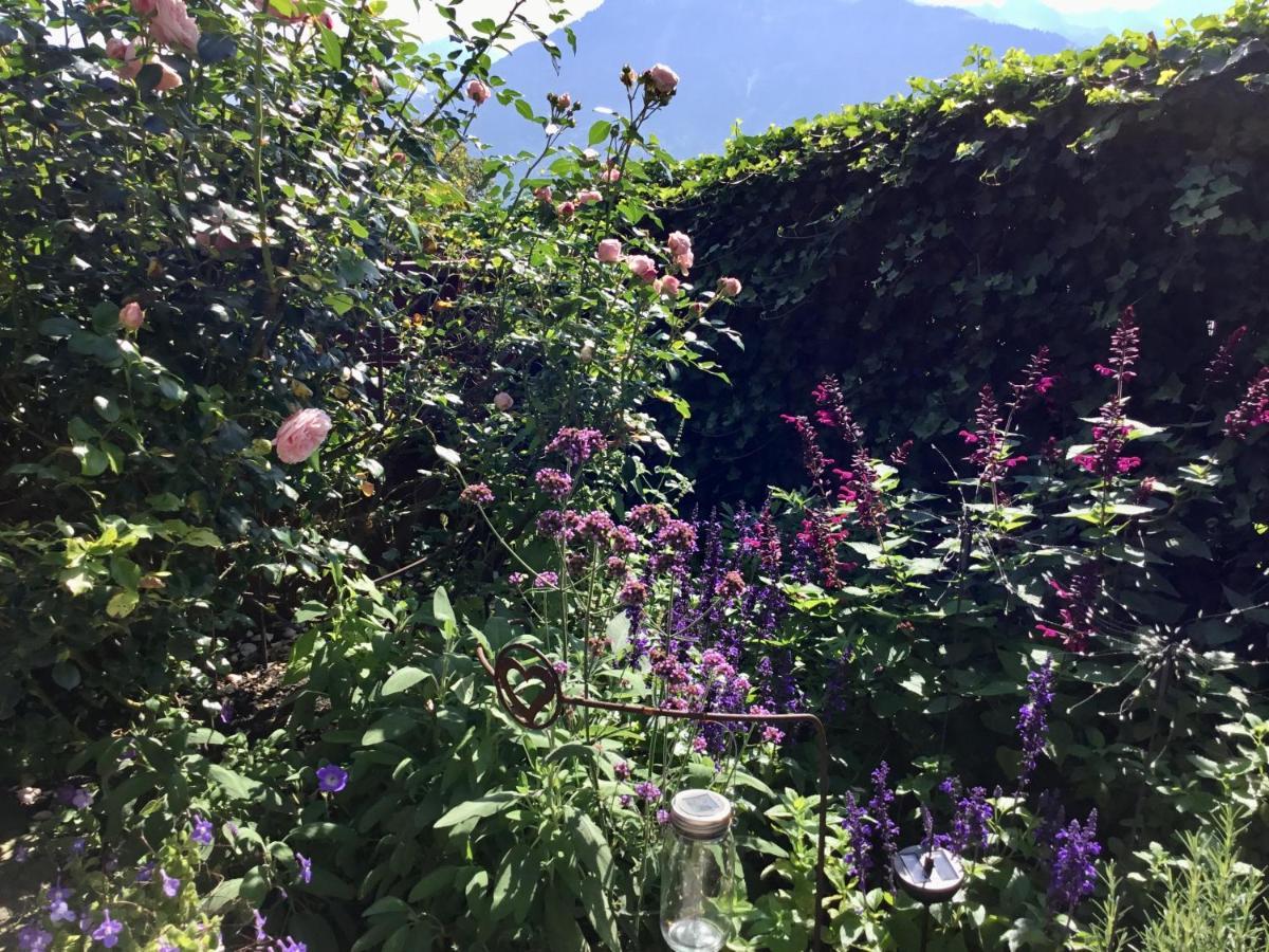 "Natur Pur" Ferienwohnung Mit Eigener Sauna Rons Exterior foto